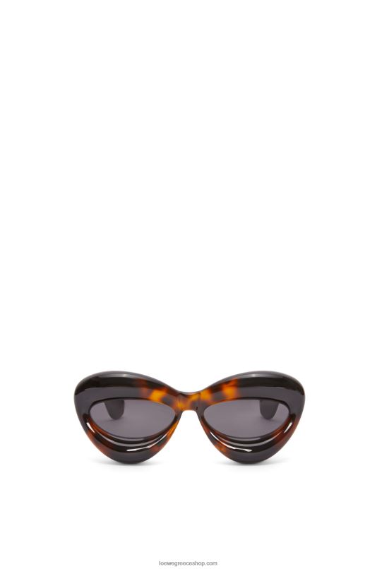 Loewe γυναίκες φουσκωμένα γυαλιά ηλίου cateye σε νάιλον RZR0J1422 Αβάνα