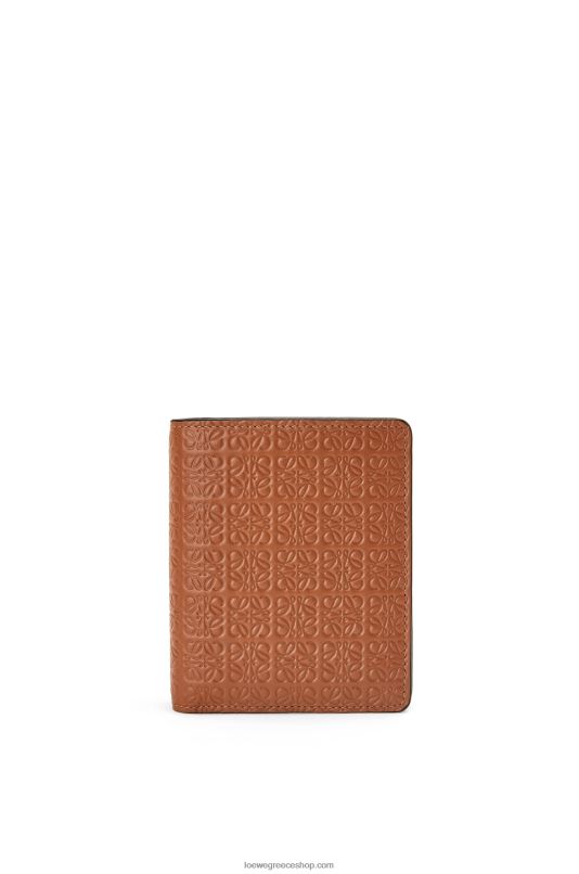 Loewe γυναίκες επαναλάβετε το συμπαγές πορτοφόλι με φερμουάρ σε ανάγλυφο μεταξωτό δέρμα μοσχαριού RZR0J1281 βυρσοδέψω